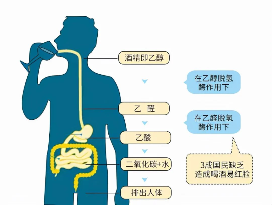 我的漂亮瘦子5最新消息,高度協(xié)調(diào)策略執(zhí)行方案_投資版33.706