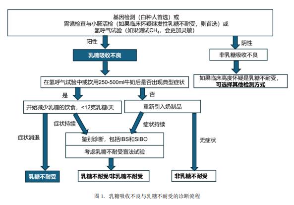 奶癮 骨科,高效設(shè)計(jì)實(shí)施策略規(guī)劃_精英版45.120