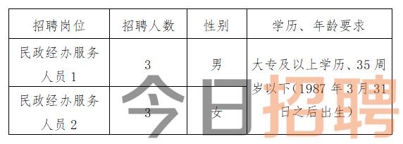 金東區(qū)民政局最新招聘信息全面解析