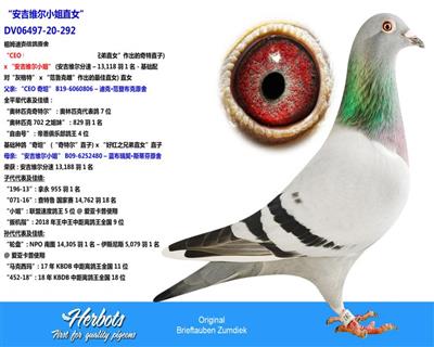 久久看片www.17c.com,數(shù)據(jù)整合方案設(shè)計(jì)規(guī)劃_豪華版 23.634 